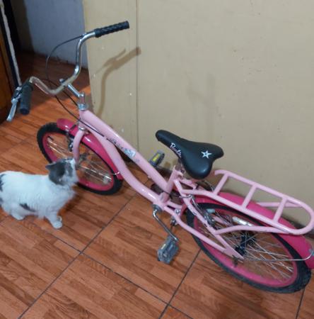 Bicicleta Barbie De Niña Canasta Aro 20. Envíos a todo Perú