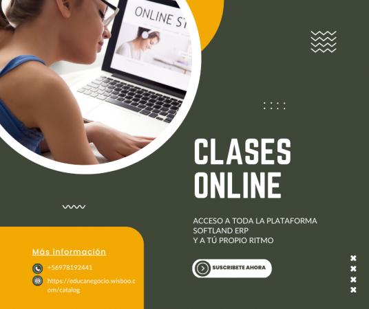 CURSOS SOFTLAND ERP / PYME 100% ONLINE Y TUTOR