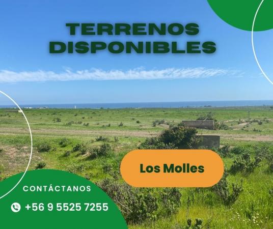 TERRENO EN LOS MOLLES VISTA MAR