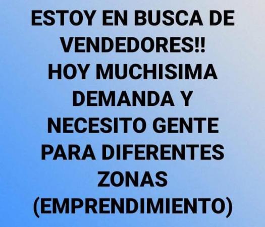 URGENTE  VENDEDORES  C/S  $500.000