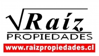 RAIZ PROPIEDADES