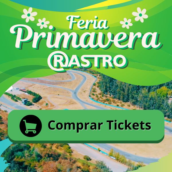 Feria Primavera El Rastro