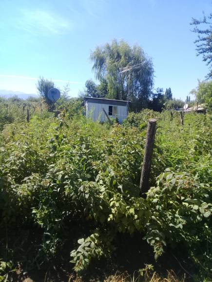 SITIO A LA VENTA