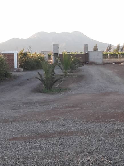 HEMOSOS TERRENOS, OVALLE