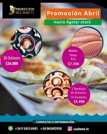 MARISCOS Y PESCADOS CEL 954556943