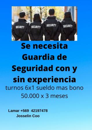 GUARDIA DE SEGURIDAD