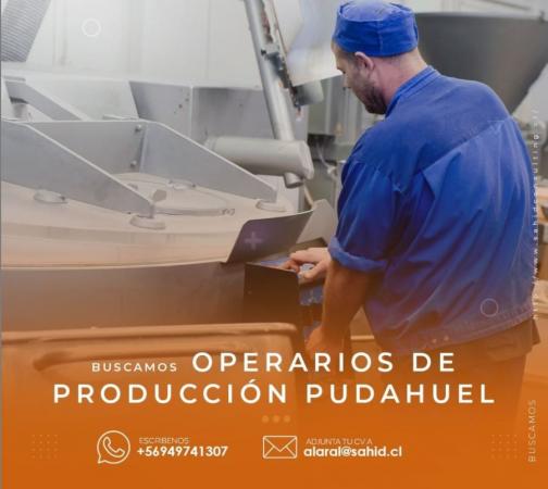 OPERARIO PRODUCCIÓN PUDAHUEL