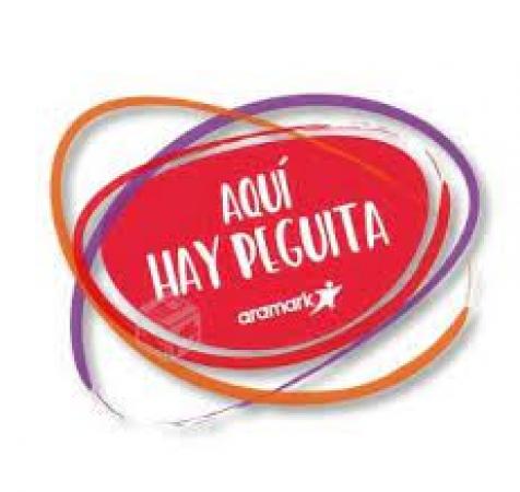 AUXILIAR TURNO FIJO SANTIAGO CENTRO