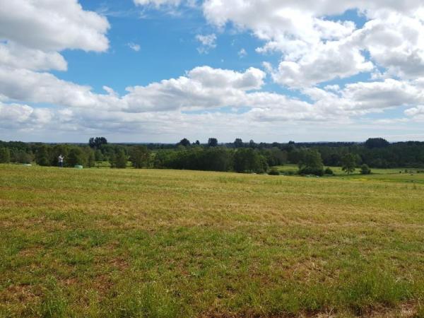 VENTA PARCELAS FRUTILLAR ROL, 5000M2