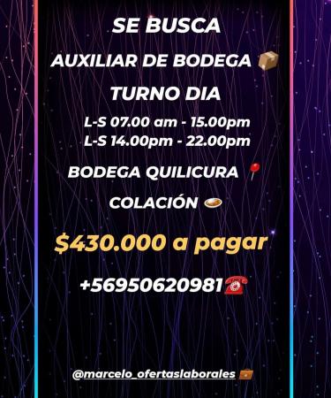 OPERADORES DE BODEGA TURNO DIA