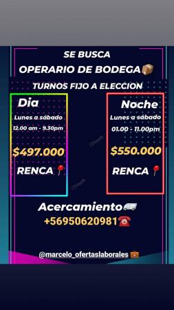 OPERARIO BODEGA RENCA TURNO ELECCION