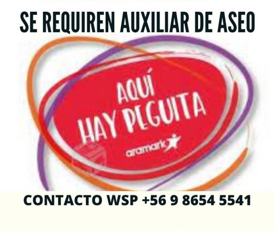 AUXILIAR 22:00 A 07:00 LA REINA $426.000