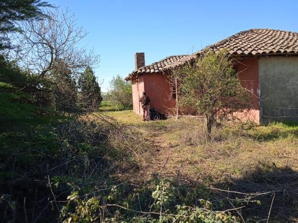 VENDO TERRENO 3,2 HECTÁREAS PARRAL