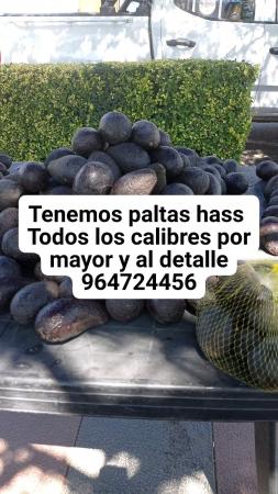 VENTA DE PALTAS
