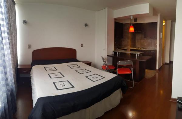 DEPARTAMENTO ARRIENDO HOME STUDIO 