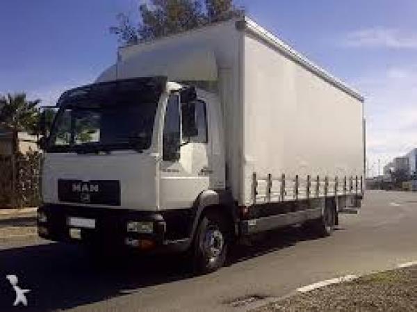 CAMION FURGONADO 48 A 53 PIES