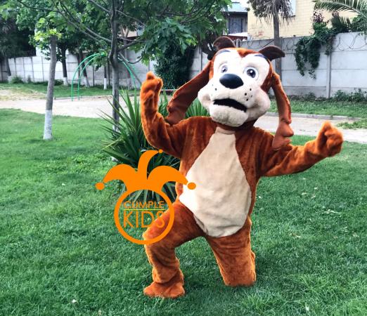 ARRIENDO DE MI PERRO CHOCOLO