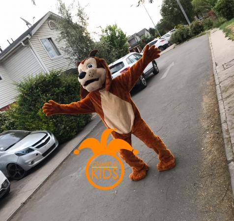 ARRIENDO DE PERRO CHOCOLO EN SANTIAGO
