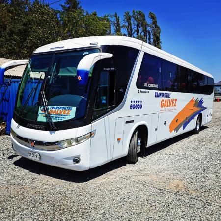 SERVICIO DE BUSES / VIAJES ESPECIALES / TRANSPORTE DE PERSONAL / TURISMO