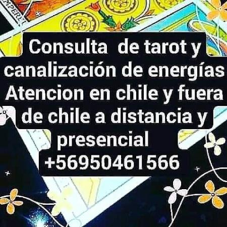 CANALIZADORA Y TAROTISTA 