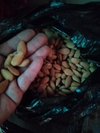 ALMENDRAS PELADAS COSECHA 2022