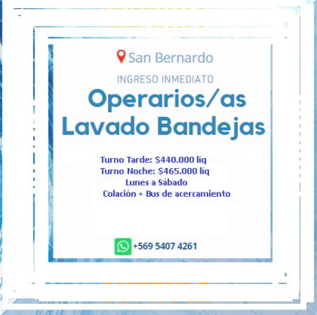 OPERARIO LAVADO BANDEJAS TARDE - SAN BER