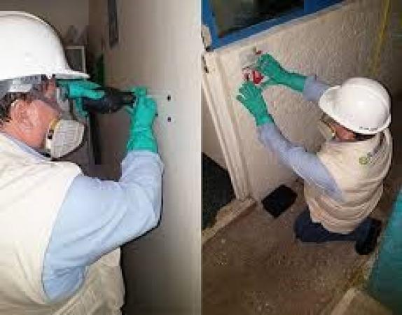 ELIMINAR CHINCHES EN PUENTE ALTO-24/7