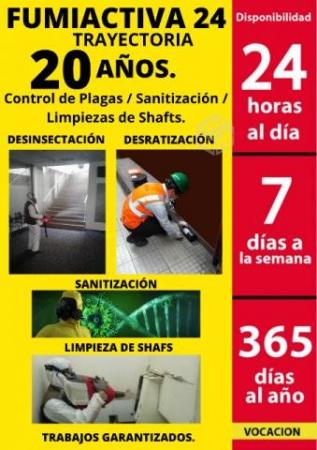 ELIMINAR CHINCHES EN QUINTA NORMAL-24/7