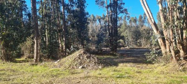 PARCELA  PROYECTO EXCLUSIVO VICHUQUEN