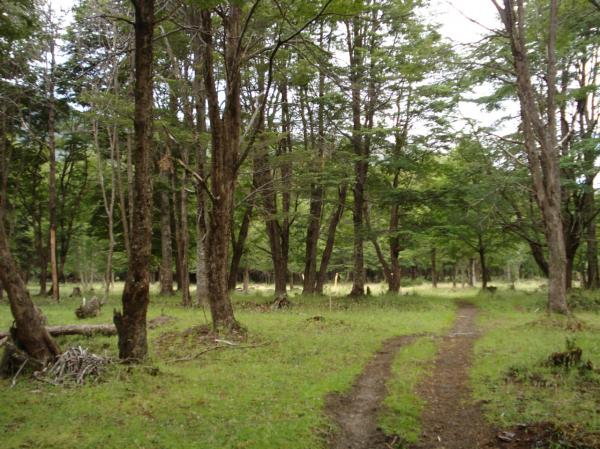 GRAN TERRENO BAHÍA MURTA, COLINDA TERMAS