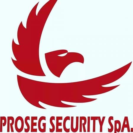 SERVICIOS DE SEGURIDAD 