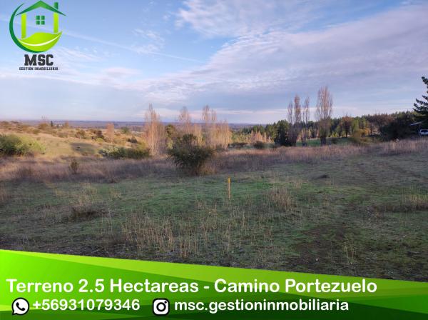 TERRENO 2.5 HA CAMINO PORTEZUELO - ÑUBLE