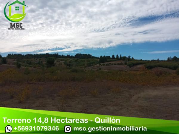 TERRENO 14.8 HA - QUILLÓN