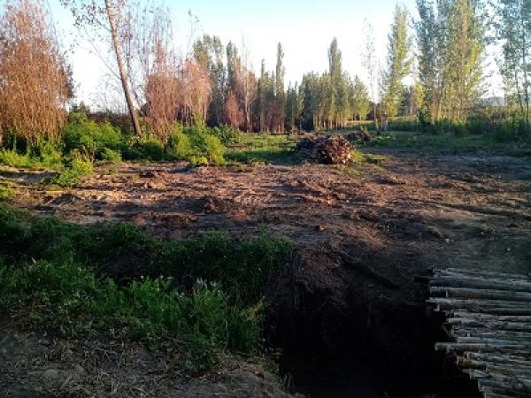 SE VENDE PARCELA 5.000MTS2, COLTAUCO.