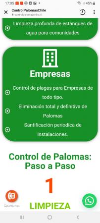 ELIMINACIÓN DE PALOMAS CONTROL DE PLAGAS