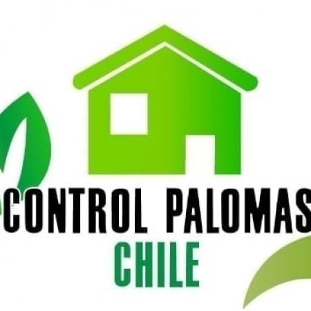 ELIMINACIÓN DE PALOMAS CONTROL DE PLAGA 