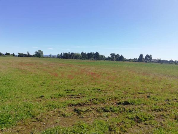PARCELAS DE 1/2 HECTÁREA EN VENTA