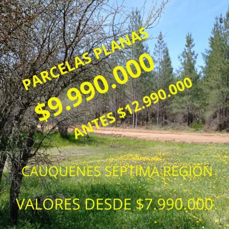 PARCELAS $7,990,000 OFERTA CAUQUENES