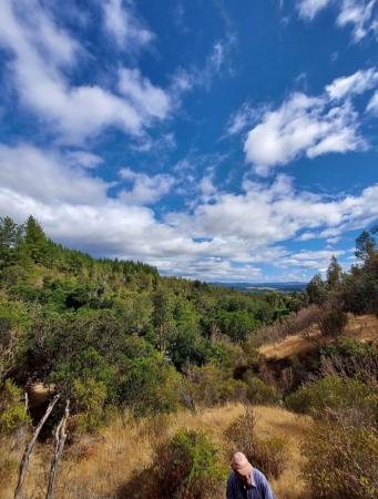 SE VENDEN 35.000 M2 