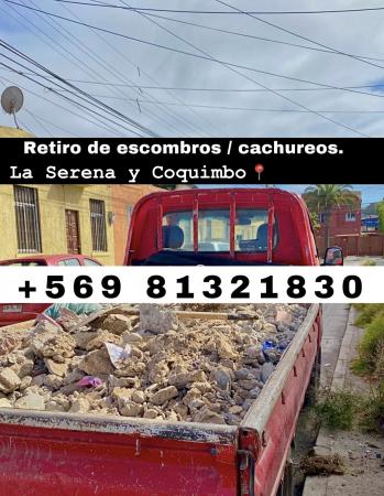 RETIRO DE CACHUREOS EN LA SERENA Y COQUIMBO