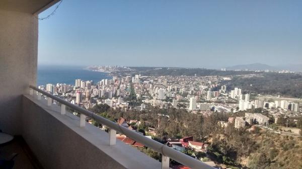 ARRIENDO DEPTO. EXCELENTE VISTA 