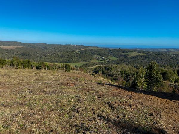 CAMPO TAMBOR BAJO 25,5HA - LOS MUERMOS