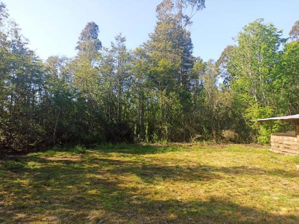 PARCELA DE 1 HECTÁREA EN VENTA