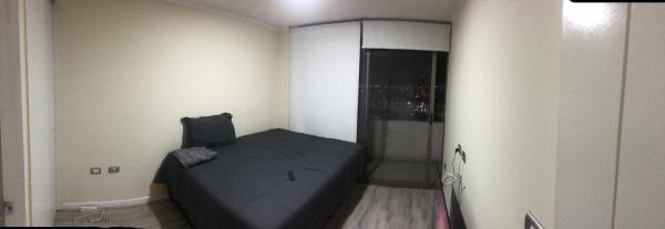 PIEZA MUJER SANTIAGO CENTRO