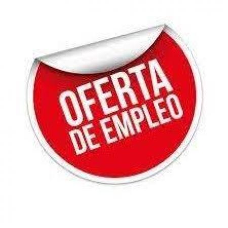 AYUDANTE PARA FABRICA MUEBLES