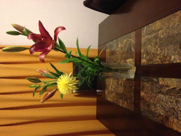 COMEDOR CON 6 SILLAS