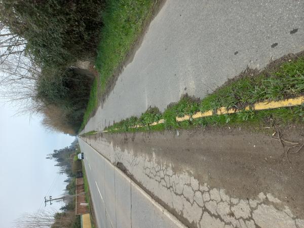 VENDO LINDAS PARCELAS EN  LINARES