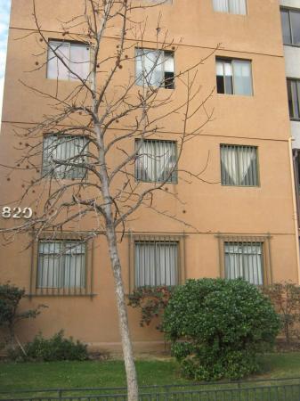 DEPARTAMENTO CALLE NATANIEL COX