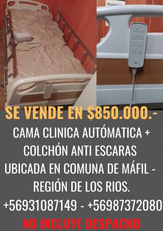 CAMA CLINICA 