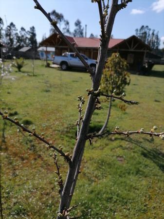SE VENDE PARCELA CON CASA